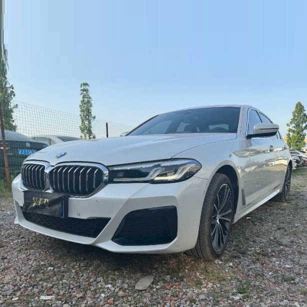 寶馬5系 2020款 530Li 2.0T 手自一體 型